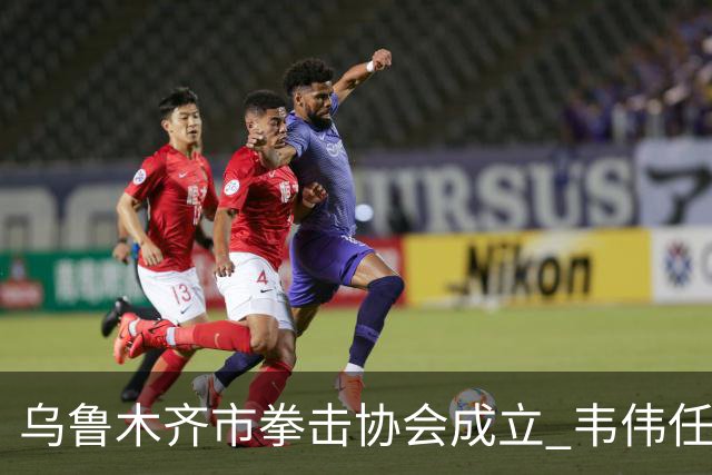 乌鲁木齐市拳击协会成立 韦伟任会长